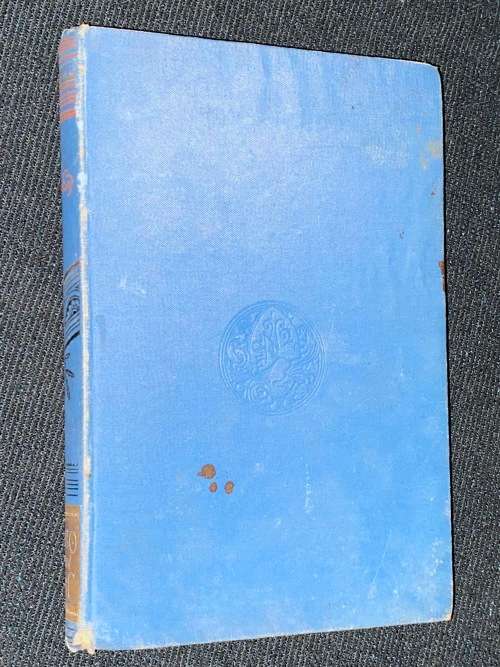 JACK AND HIS OSTRICH A STORY OF SOUTH AFRICA BY E. STREDDER 1900