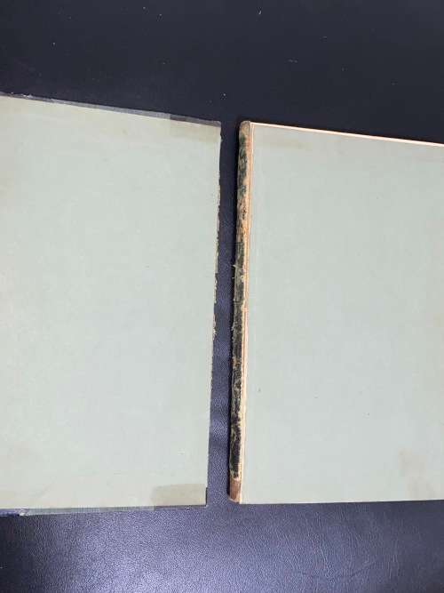 PEN AND INK SKETCHES IN PARLIAMENT BY LIMNER IN TWO BOOKS GRAHAMSTOWN 1864
