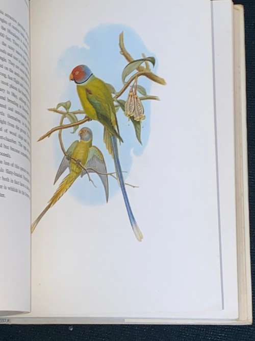 BIRDS OF ASIA BY JOHN GOULD AND A. RUTGERS