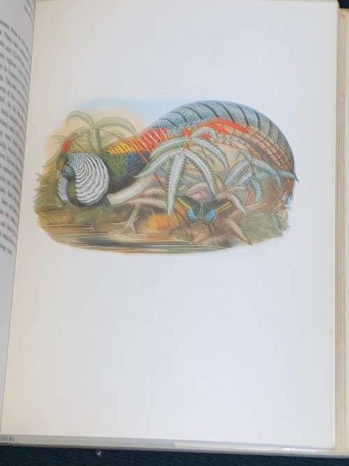 BIRDS OF ASIA BY JOHN GOULD AND A. RUTGERS