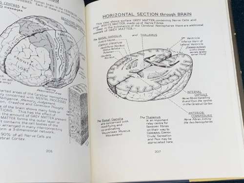 ILLUSTRATED PHISIOLOGY BY ANN B. MCNAUGHT AND ROBIN CALLANDER 1973