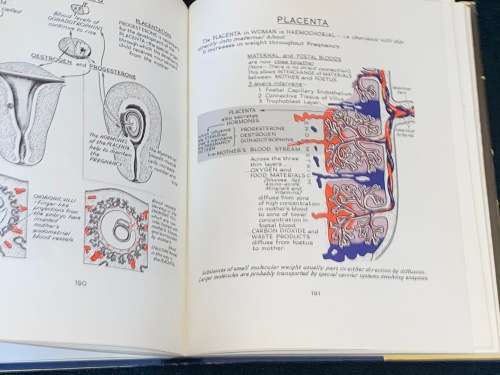 ILLUSTRATED PHISIOLOGY BY ANN B. MCNAUGHT AND ROBIN CALLANDER 1973