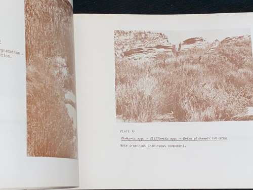 TABLE MOUNTAIN NATURE RESERVE WESTERN TABLE MASTER PLAN 1982