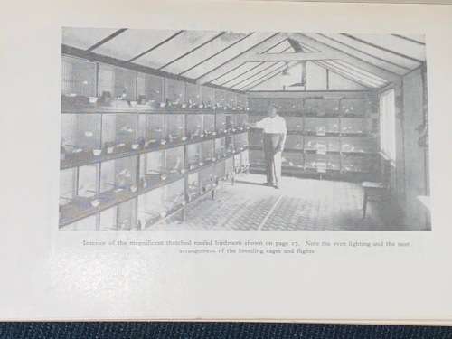 CANARY BREEDING FOR BEGINNERS BY CLAUDE ST. JOHN 1947