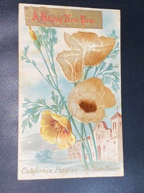 VINTAGE CALIFORNIA POPPIES NEW YEAR POSTCARD