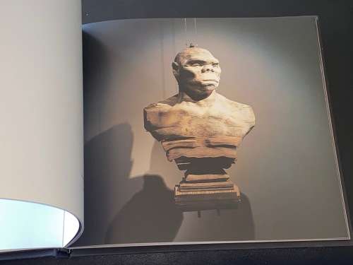 WIM BOTHA STANDARDBANK YOUNG ARTIST FOR VISUAL ART 2005