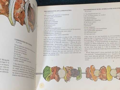 OOR DIE KOLE `N OMVATTENDE BRAAIGIDS DEUR HEINZ EN GENESTE KURTH