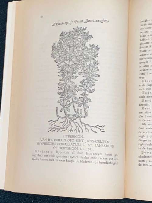 BLOEMLEZING UIT HET CRUYDT-BOECK VAN REMBERT DODOENS