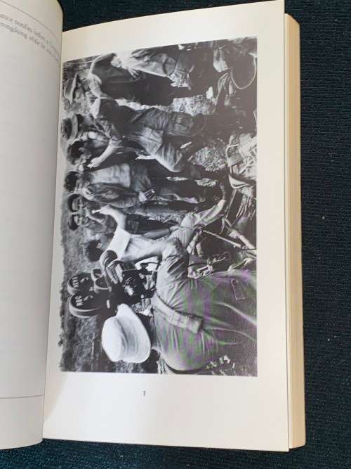 TRIQUARTERLY 59 WINTER 1984 THE AMERICAN BLUES