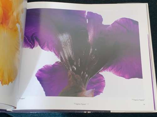 THE IRIS THE RAINBOW FLOWER PHOTOGRAPHS BY JOSH WESTRICH TEXT BY BEN R. HAGER