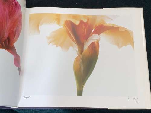THE IRIS THE RAINBOW FLOWER PHOTOGRAPHS BY JOSH WESTRICH TEXT BY BEN R. HAGER