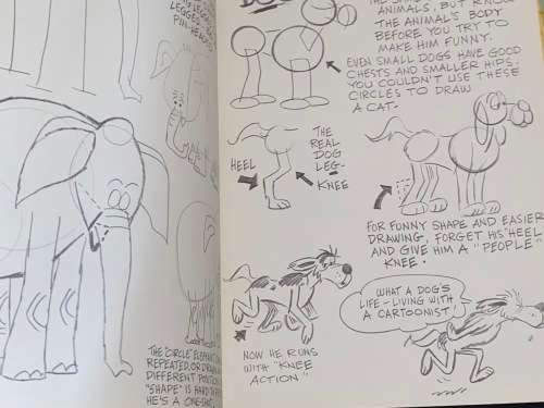ANIMALS ARE FOR FUN BY PRESTON BLAIR  BY WALTER T. FOSTER