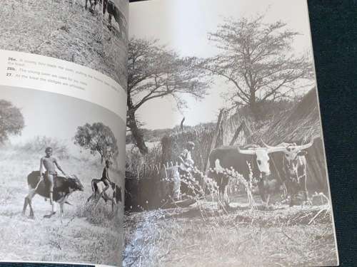 KAVANGO SOUTH WEST AFRICA BY ALICE MERTENS