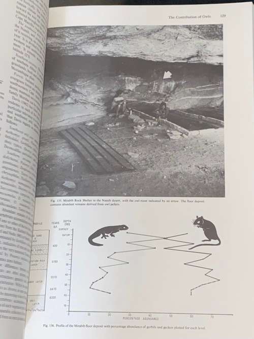 THE HUNTERS OR THE HUNTED AN INTRODUCTION TO AFRICAN CAVE TAPHONOMY BY C.K. BRAIN EX-LIB
