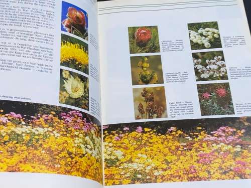 KIRSTENBOSCH SPECIAL 75TH ANNIVERSARY MAGAZINE 1913-1988