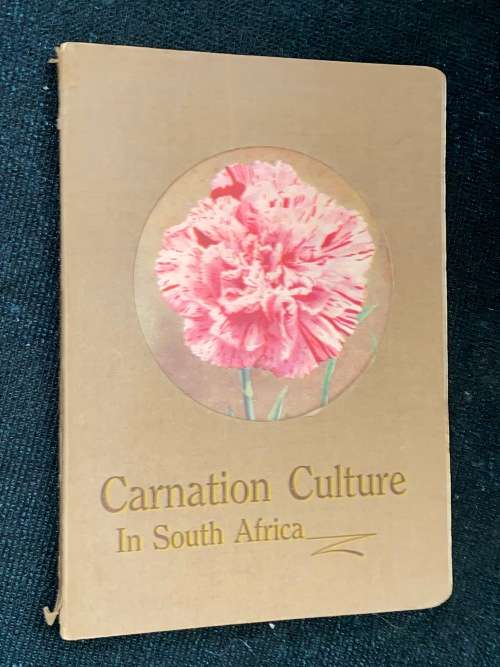 CARNATION CULTURE IN SOUTH AFRICA