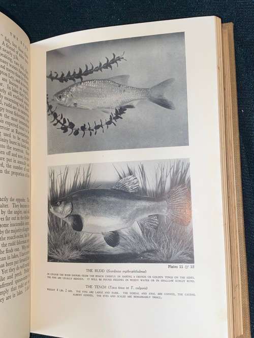THE LONSDALE LIBRARY VOLUME IV FINE ANGLING FOR COARSE FISH 1930
