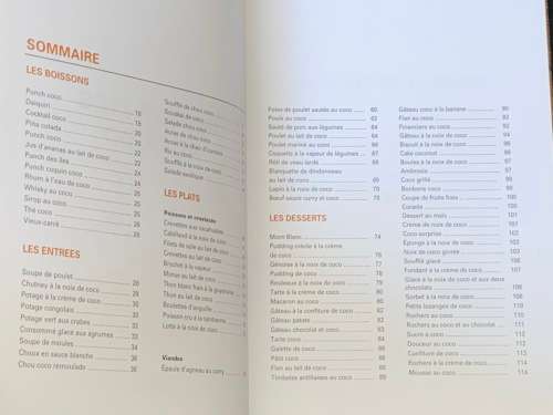 100 RECETTES AU CICA