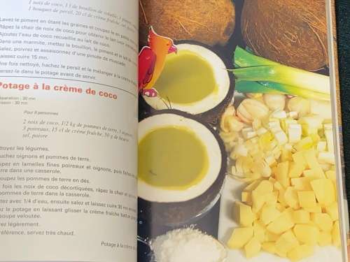 100 RECETTES AU CICA