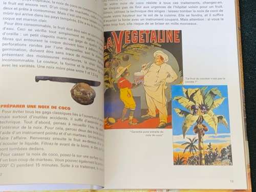 100 RECETTES AU CICA