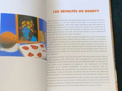 100 RECETTES AU CICA