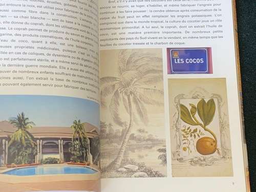 100 RECETTES AU CICA