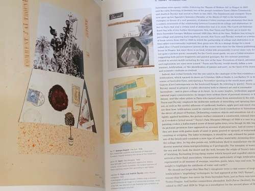 COLLAGE THE MAKING OF MODERN ART BY BRANDON TAYLOR