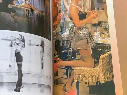 THE LINGERIE BOOK BY MITCHEL GRAY