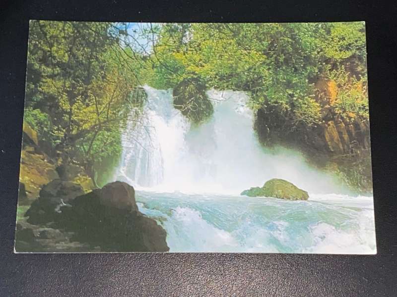 VINTAGE BANIAS RIVER ISRAEL POSTCARD