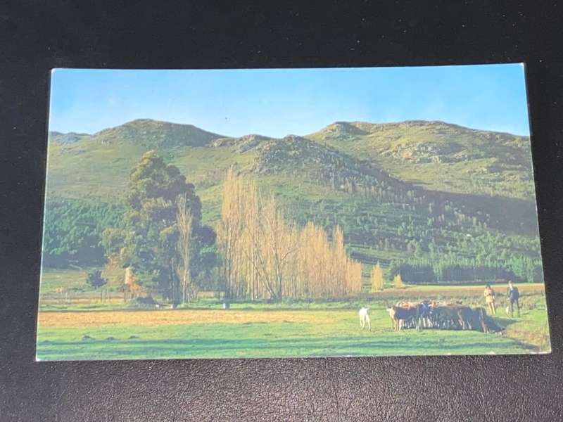 VINTAGE COUNTRY SCENE FRANSCHHOEK  POSTCARD