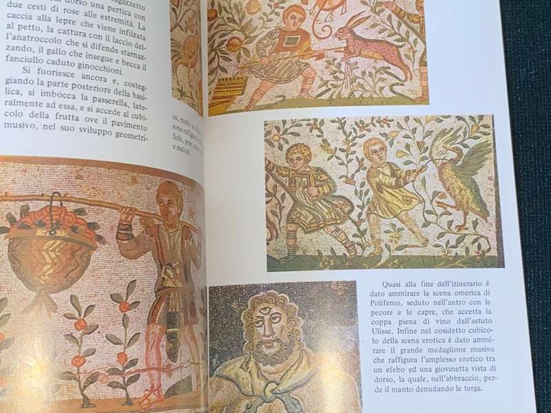 PIAZZA ARMERINA I MOSAICI