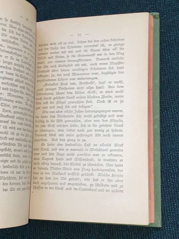 IRMELA EINE GESCHICHTE AUS ALTER ZEIT VON HEINRICH STEINHAUSEN 1892