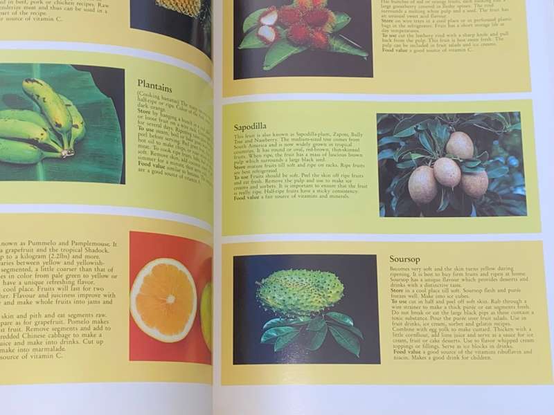 TASTE OF THE TROPICS RECIPE BOOK