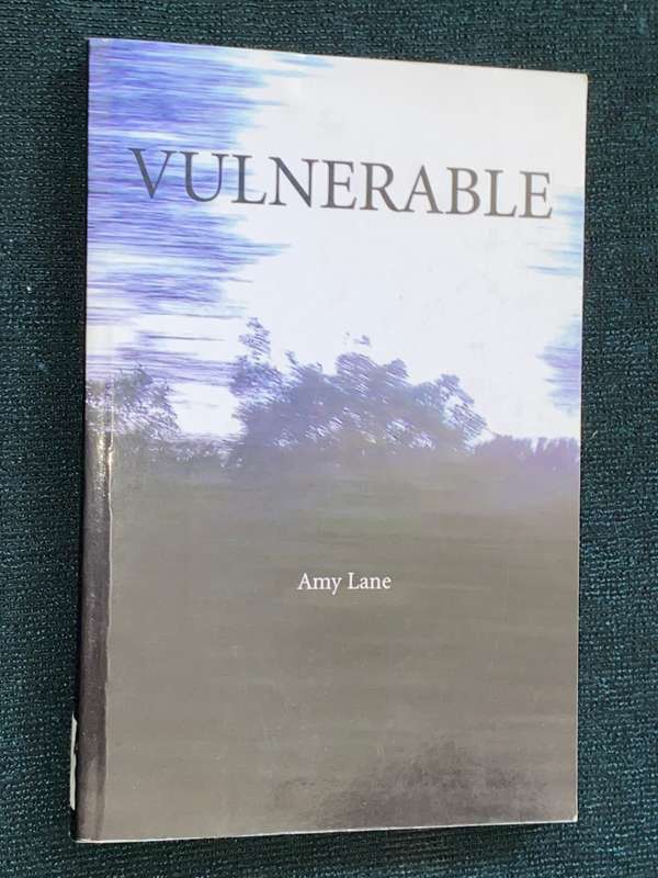 VULNERABLE BY AMY LANE