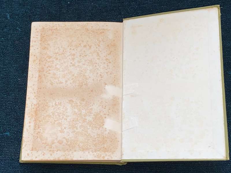 THE AGE OF CHAUCER 1346-1400 BY F.J. SNELL 1912