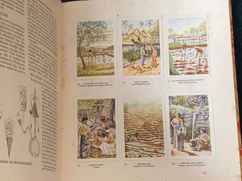 1933 COLLECTABLE DROSTE`S CACAO EN CHOCOLADEFABRIEKEN BALI CARD BOOK