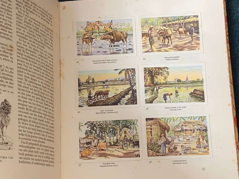 1933 COLLECTABLE DROSTE`S CACAO EN CHOCOLADEFABRIEKEN BALI CARD BOOK