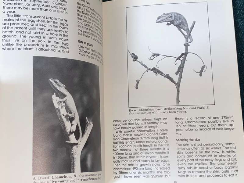 THE LIFE OF THE CHAMELEON BY VINCENT A. WAGER