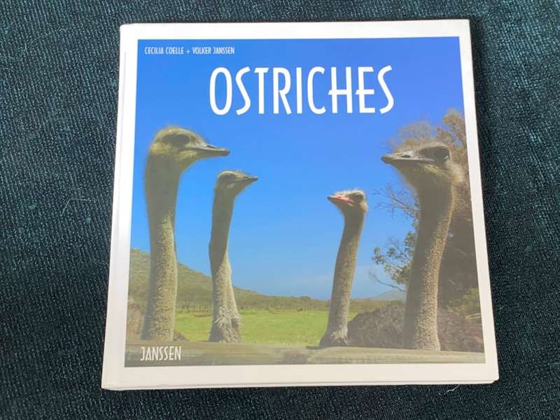 OSTRICHES BY CECILIA COELLE + VOLKER JANSSEN