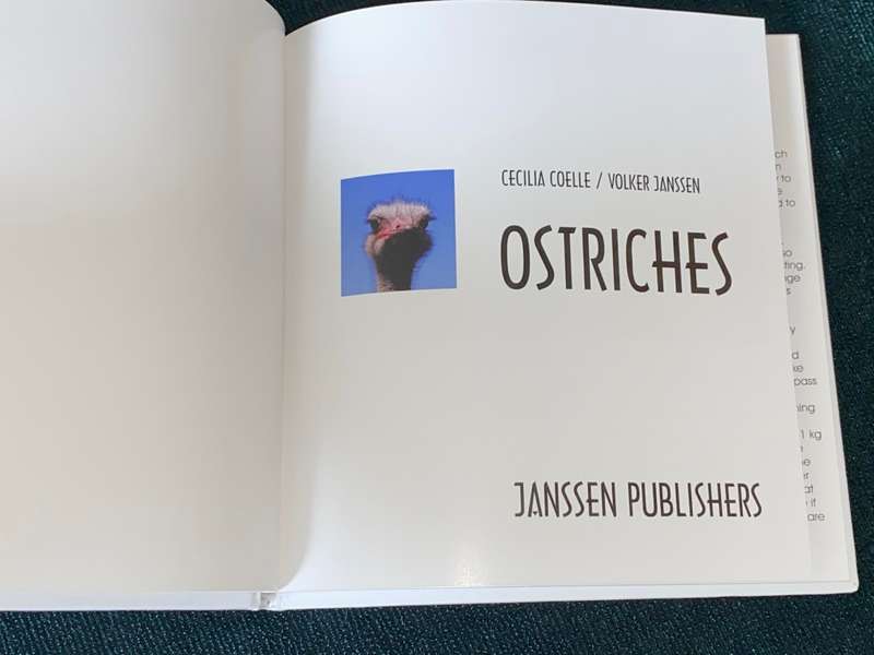 OSTRICHES BY CECILIA COELLE + VOLKER JANSSEN