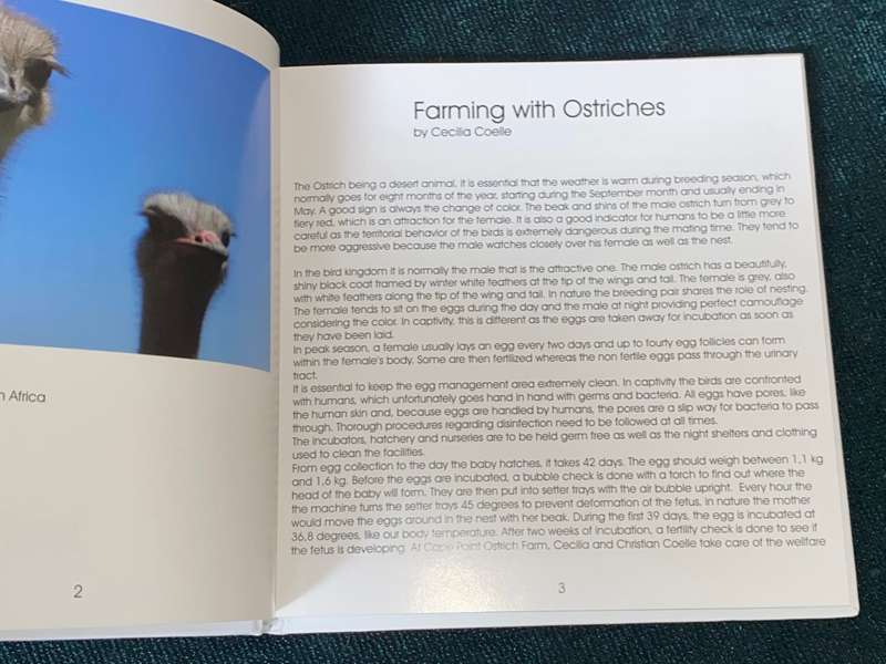 OSTRICHES BY CECILIA COELLE + VOLKER JANSSEN