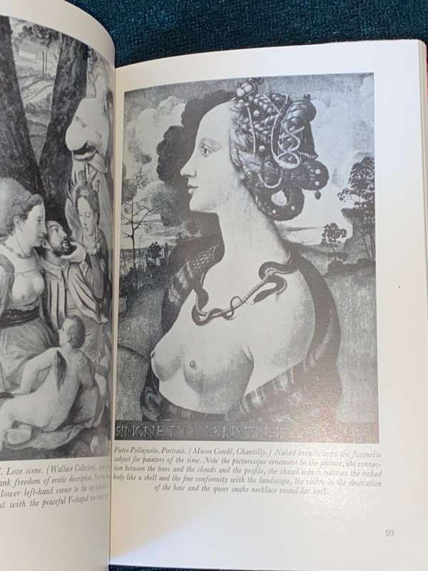 LOVE`S PICTURE BOOK THE HISTORY OF PLEASURE AND MORAL INDIGNATION BY OVE BRUSENDORFF