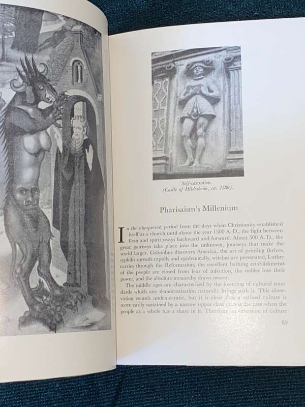 LOVE`S PICTURE BOOK THE HISTORY OF PLEASURE AND MORAL INDIGNATION BY OVE BRUSENDORFF