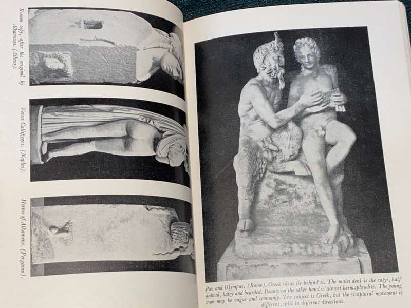LOVE`S PICTURE BOOK THE HISTORY OF PLEASURE AND MORAL INDIGNATION BY OVE BRUSENDORFF