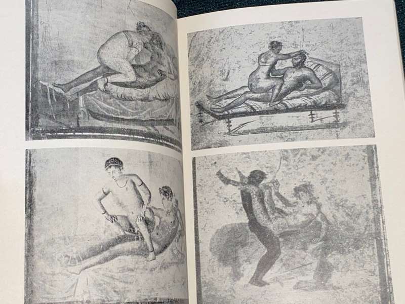 LOVE`S PICTURE BOOK THE HISTORY OF PLEASURE AND MORAL INDIGNATION BY OVE BRUSENDORFF