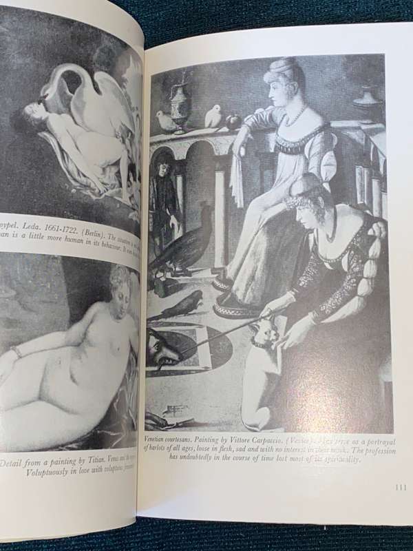 LOVE`S PICTURE BOOK THE HISTORY OF PLEASURE AND MORAL INDIGNATION BY OVE BRUSENDORFF