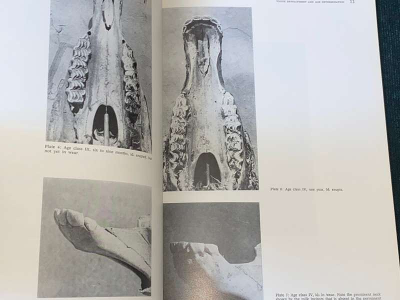 MADOQUA JOURNAL OF NATURE CONSERVATION RESEARCH SWA SERIES 1 #6 1972