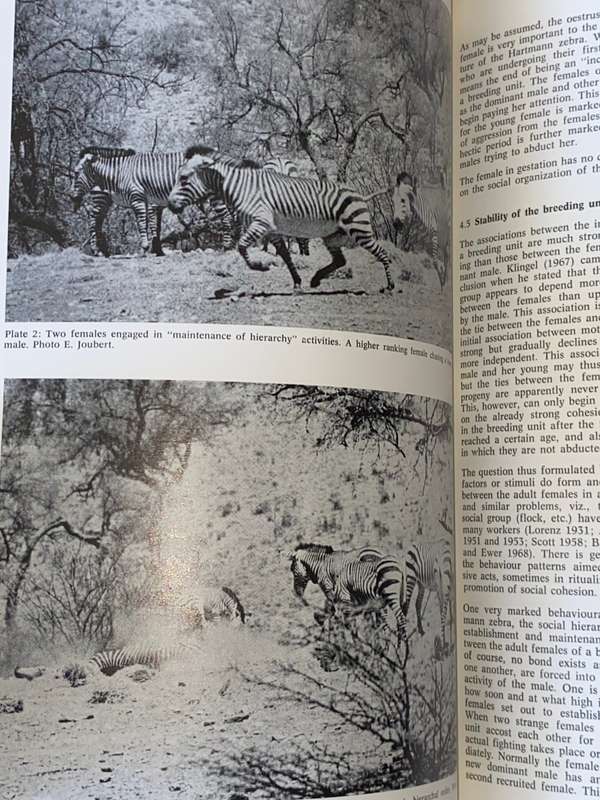 MADOQUA JOURNAL OF NATURE CONSERVATION RESEARCH SWA SERIES 1 #6 1972