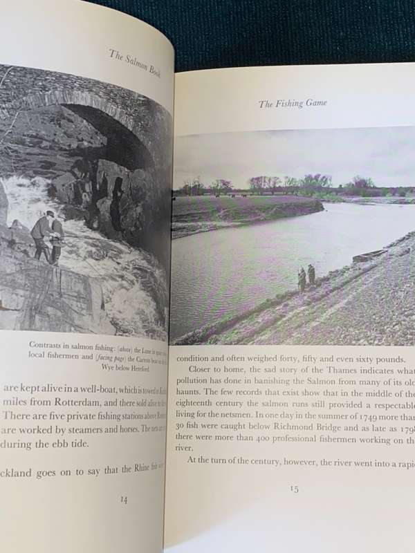 DOUGLAS SUTHERLAND THE SALMON BOOK