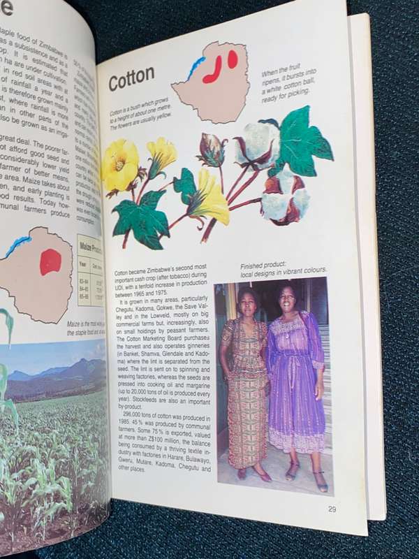 A VINTAGE GUIDE TO ZIMBABWE